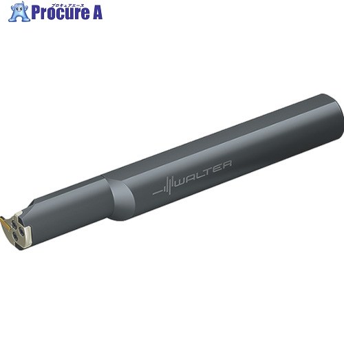 Walter 溝入れモデュール NCAI40-5025R-GX24-4 1個 ■▼803-3870 【貨物輸送都度積もり書き】 ●O585