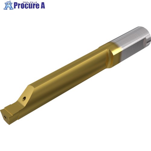 イスカル ピコとり捨てる小みちソリッドバー PICCO-016/020 集積回路1008 PICCO R 020.0500-20 集積回路1008 1個 ▼110-2156  ●O585