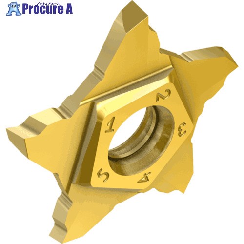 イスカル ペンタカット 心付け PENTA 24R-P 集積回路1008 PENTA 24R200P15D 集積回路1008 5個 ■▼110-8652 【貨物輸送都度積もり書き】 ●O585