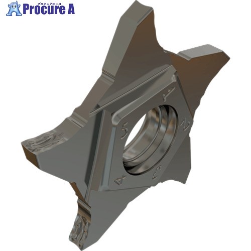 イスカル ペンタカット チップ PENTA 24N-Z IC908 PENTA 24N300Z020 IC908 5個 ▼111-1786  ●O585