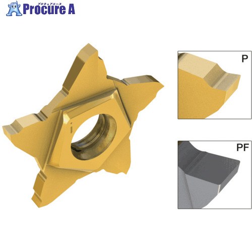 イスカル ペンタカット 心付け PENTA 24N-PF/P 集積回路30N PENTA 24N145PF020 集積回路30N 5個 ■▼183-2122 【貨物輸送都度積もり書き】 ●O585