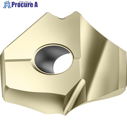 Walter ポイントドリルチップ WPP25 P6006-D16、66R  WPP25 1個 ■▼413-3603 【貨物輸送都度積もり書き】 ●O585