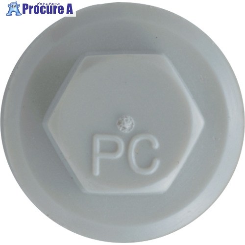 JPF プラカラー 点火装置薄墨色 6×35 GY-55 (300本入り口・入口) パソコン6X35GY-55 1箱 ■▼438-1018 【貨物輸送都度積もり書き】