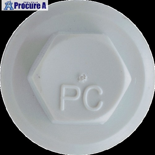 JPF プラカラー 白いこと 5×45 WH-15 (300本入り口・入口) マイコン5X45WH-15 1箱 ■▼438-1034 【貨物輸送都度積もり書き】