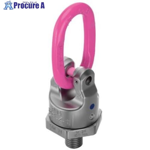 RUD パワーポイントスター マスターリンクセット PP-B M36 PP-B-M36 1個 ▼487-4404 |プロキュアエース