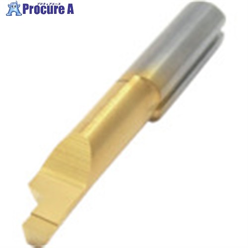 イスカル ピコ撥ねのける狭い道ソリッドバー PICCO-010/610 集積回路228 PICCO R 610.3008-10 集積回路228 1個 ■▼520-8661 【貨物輸送都度積もり書き】 ●O585