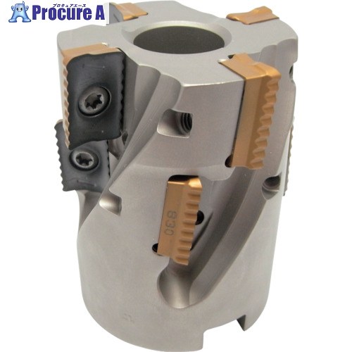 イスカル シュレッドミルP290 甲殻粉砕機 P290 SM 刃径50粍 シャンク径22粍 P290 SM D050-04-53-22-18 1個 ■▼620-9611 【貨物輸送都度積もり書き】 ●O585