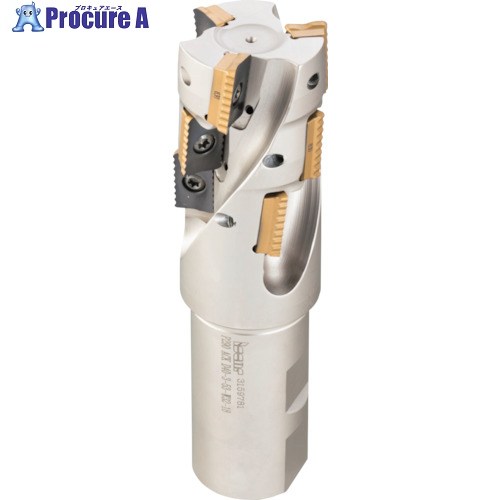 イスカル シュレッドミルP290 ヘリカルエンドミル P290 ACK 刃径25粍 シャンク径25粍 P290 ACK D25-3-36-W25-12 1個 ■▼621-5874 【貨物輸送都度積もり書き】 ●O585