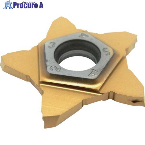 イスカル ペンタカット 手当て PENTA 24R/L-J 集積回路1008 PENTA 24L200J06D 集積回路1008 5個 ▼625-3636  ●O585 花・ガーデン・DIY-DIY・工具