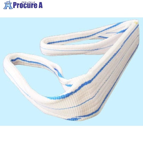 TESAC 耐化学薬品用スリング(JIS2等級・両端アイ形)100mm幅&times;5m PP2E100X5 1本 ■▼851-8239 【送料都度見積】｜プロキュアエース