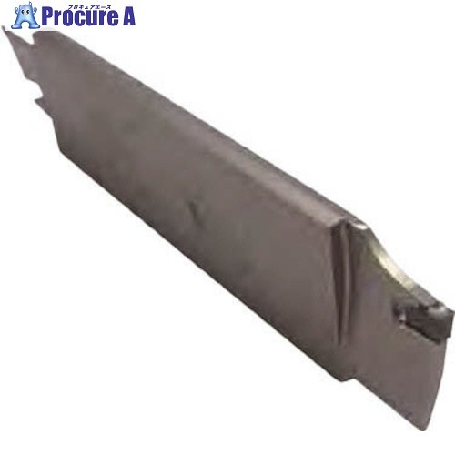 イスカル セルフグリップチップ用金モール SGFFH SGFFH100-R-2 1本 ▼171-1091  ●O585