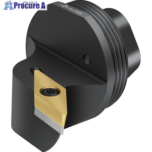 Walter 取り替えっこ式尖端 スクリュークランプ Q...-SVUB Q25-SVUBR-17020-11 1個 ■▼413-0365 【貨物輸送都度積もり書き】 ●O585