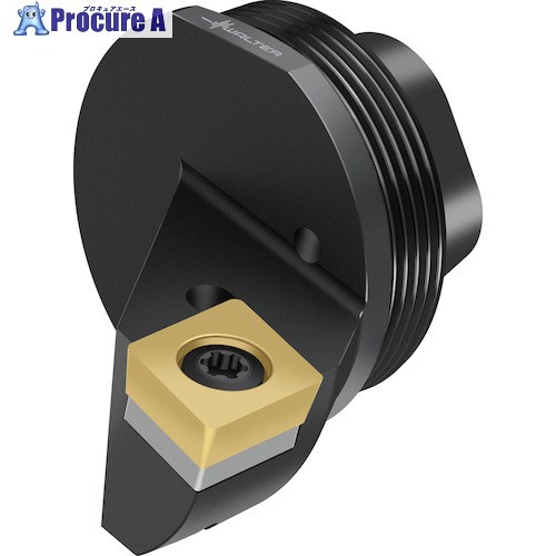 Walter 取り替えっこ式尖端 スクリュークランプ Q...-SCLC Q25-SCLCR-17020-09 1個 ■▼413-1914 【貨物輸送都度積もり書き】 ●O585