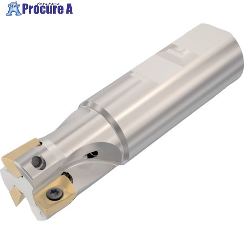 セコ フライス  ターボ圧砕機 裁断師 R217.69-2525.3-12-3AN 1個 ▼428-2028