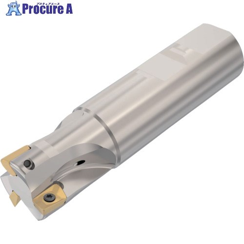 セコ フライス  ターボ圧砕機 裁断師 R217.69-2525.3-10-3A 1個 ▼428-2061