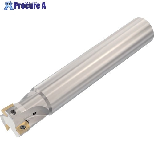 セコ フライス  ターボ圧砕機 裁断師 R217.69-3232.0-12-3AN 1個 ▼428-5278