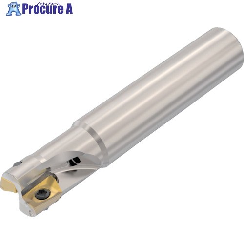 セコ フライス  ターボ圧砕機 裁断師 R217.69-1616.0-06-4AD 1個 ▼428-5293