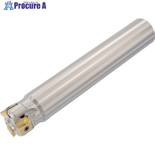 セコ フライス 真四角T4カッタ― R217.94ー12 R217.94-3232.0-12-3A 1個 ▼429-9231