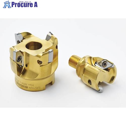 セコ フライス  金型用 裁断師 R220.97-0063-V22.3A 1個 ▼430-0783