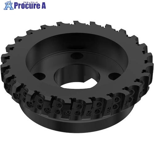 セコ フライス 仕上用人間の顔粉砕機 R220.30ー12 R220.30-8160-12ST 1個 ■▼430-0869 【貨物輸送都度積もり書き】