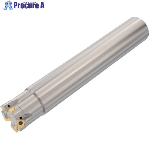 セコ フライス  真四角6 截断機 R217.96-3232.0-04-5A 1個 ▼430-1267