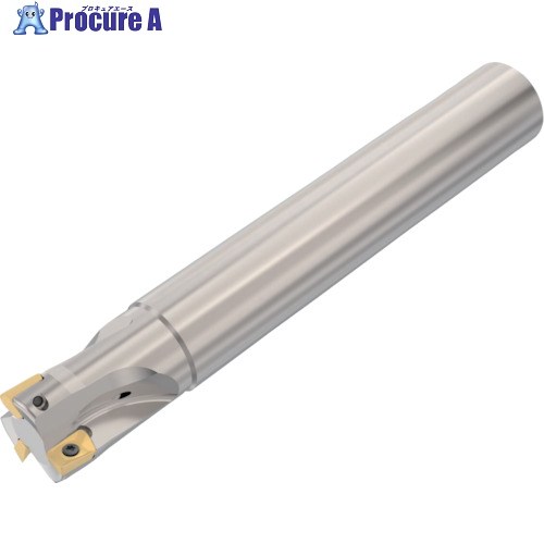 セコ フライス  ターボ圧砕機 裁断師 R217.69-2525.0-09-3AN 1個 ▼430-1843