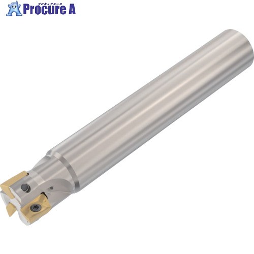 セコ フライス  ターボ圧砕機 裁断師 R217.69-3232.0-18-3AN 1個 ▼430-1873