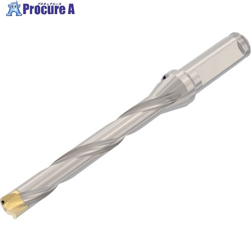 セコ ドリル加工 Crownloc(クラウンロック) SD107 SD107-15.00/15.99-110-16R7 1個 ▼483-7145