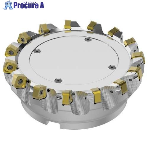 セコ フライス ダブルクワトロミル14-71° カッタ― R220.56-8160-14-15A 1個 ■▼488-9415 【貨物輸送都度積もり書き】