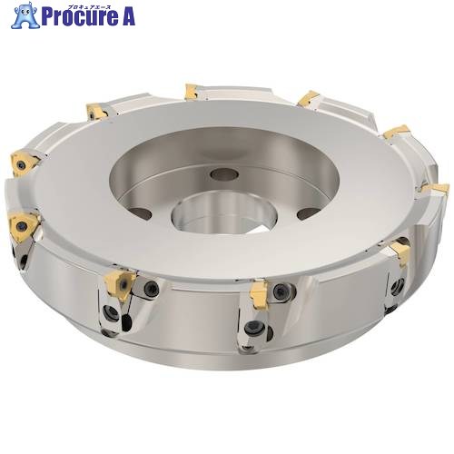 セコ フライス  真四角6 切り手 R220.96-8250-08-10C 1個 ■▼489-2598 【貨物輸送都度積もり書き】
