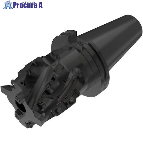 セコ フライス  余分の物 切り手 R215.59-CV50080061-12.4B 1個 ■▼489-2618 【貨物輸送都度積もり書き】