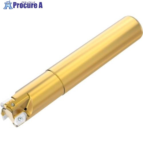 セコ R217.97-X08 一 米突仕様模様 R217.97-2525.0-X08.3A 1個 ■▼489-4079 【貨物輸送都度積もり書き】 花・ガーデン・DIY-その他-手動工具
