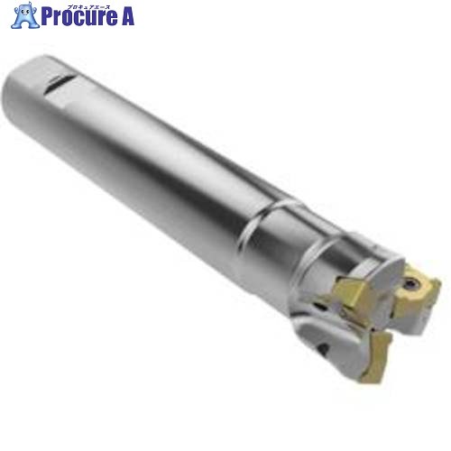 セコ フライス  ISO判定基準 截断機 R217.79-3240.3-08-3A 1個 ■▼489-4116 【貨物輸送都度積もり書き】
