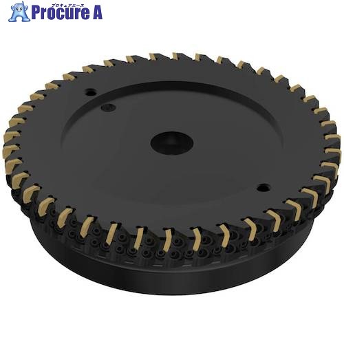 セコ フライス  ISO標準尺度 切り手 R220.30-9250-12ST 1個 ■▼489-4208 【貨物輸送都度積もり書き】