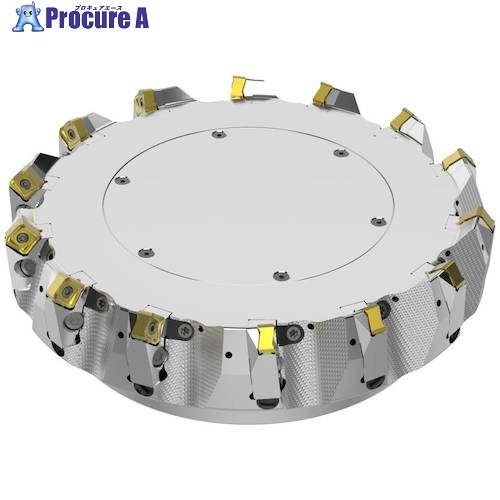 セコ フライス ダブルクワトロミル14-48° カッタ― R220.54-8250-14-14CA 1個 ■▼489-4232 【送料都度見積】 ※車上渡し