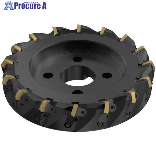 セコ フライス  余分の物 切断機 R220.60-8160-19-10コマーシャル2Z 1個 ■▼489-5807 【貨物輸送都度積もり書き】