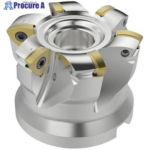 セコ フライス  金型用 裁断師 R220.21-0066-R160.6A 1個 ■▼489-7246 【貨物輸送都度積もり書き】