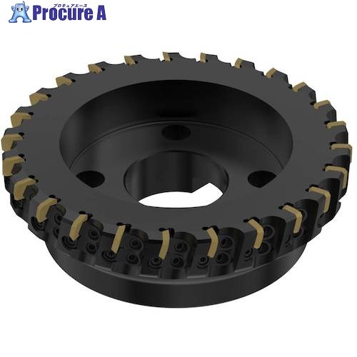 セコ フライス  ISO判定基準 切断機 R220.30-8200-12ST 1個 ■▼489-7387 【貨物輸送都度積もり書き】