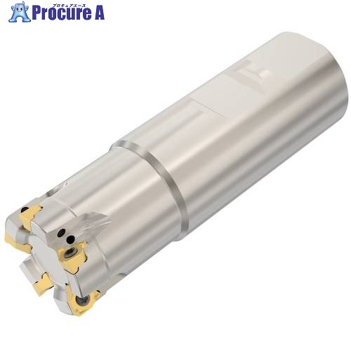 セコ フライス  真四角6 截断機 R217.96-3232.3-04-5A 1個 ■▼489-8816 【貨物輸送都度積もり書き】