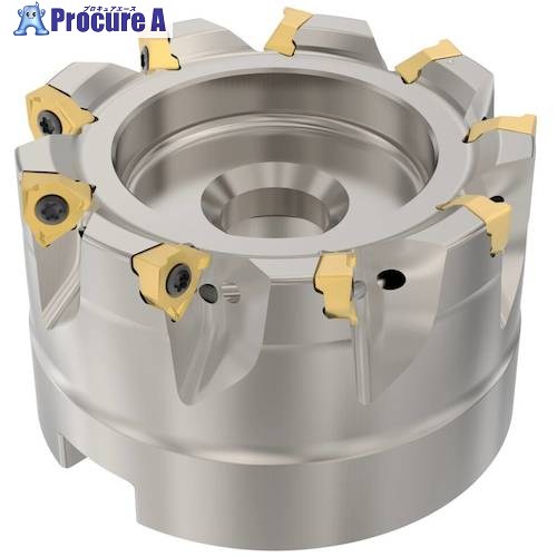 セコ フライス  真四角6 切断機 R220.96-0063-04-9A 1個 ■▼489-8828 【貨物輸送都度積もり書き】