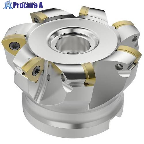 セコ フライス 金型用 カッター R220.21-0080-R160.7A 1個 ■▼489-8855 【送料都度見積】