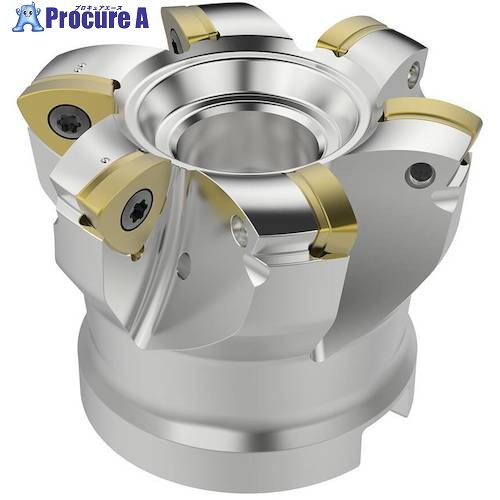 セコ フライス  金型用 裁断師 R220.21-0063-R160.6A 1個 ■▼490-0403 【貨物輸送都度積もり書き】