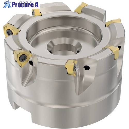 セコ フライス  真四角6 裁断師 R220.96-0063-04-7A 1個 ■▼490-0419 【貨物輸送都度積もり書き】