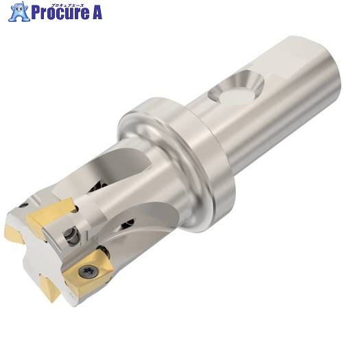 セコ フライス  ターボカッタ カッター R217.69-2532.3S-12-4AN 1個 ■▼490-0424 【送料都度見積】