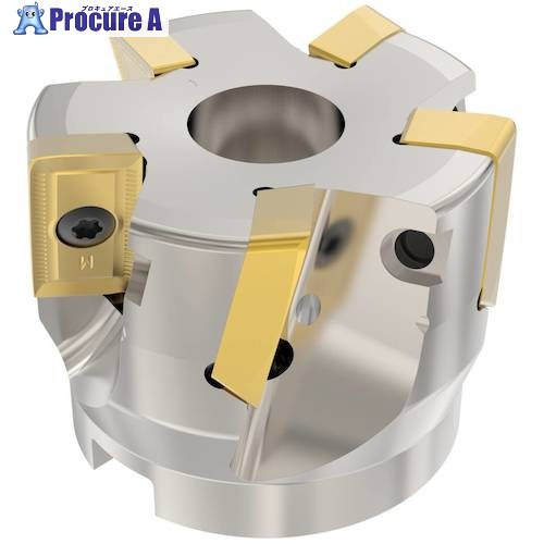 セコ フライス  余分の物 切断機 R220.90-0063-26-6AM 1個 ■▼490-3593 【貨物輸送都度積もり書き】
