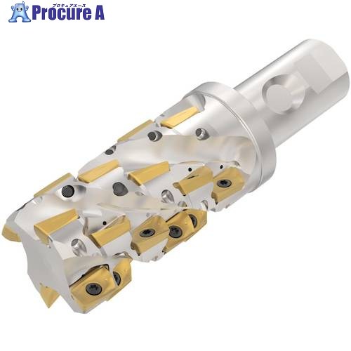 セコ フライス  ターボカッタ 切り手 R217.69-3250.3S-085-XO16.4A 1個 ■▼490-3605 【貨物輸送都度積もり書き】