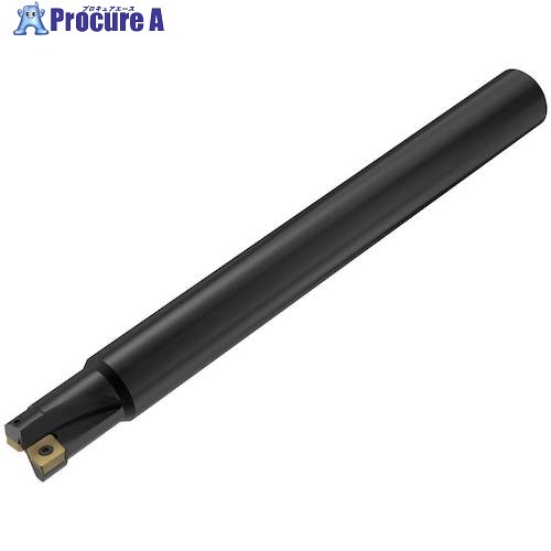 セコ フライス  ISO標準尺度 裁断師 R216.19-2020.0-08/200 1個 ■▼490-5127 【貨物輸送都度積もり書き】