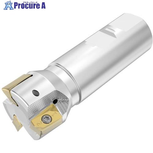 セコ フライス ダブルターボミル R217.64 截断機 R217.64-3240.3-ZO16-3A 1個 ■▼490-6719 【貨物輸送都度積もり書き】
