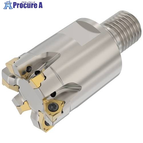 セコ Square 6(TM) - R217/220.96-04 - メートル仕様 R217.96-1632.RE-04-6A 1個 ■▼490-6787 【送料都度見積】｜プロキュアエース