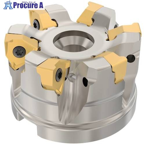 セコ フライス  真四角6 切断機 R220.96-0063-08-6A-27 1個 ■▼490-8271 【貨物輸送都度積もり書き】